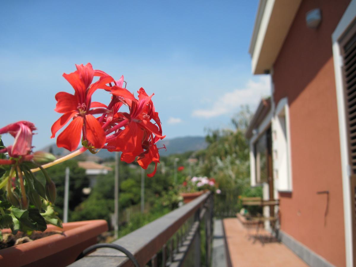 Anthea Dell' Etna Bed and Breakfast Santa Venerina Εξωτερικό φωτογραφία